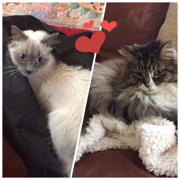 Hi, it's me, Tickie. - Picture 9 of 11